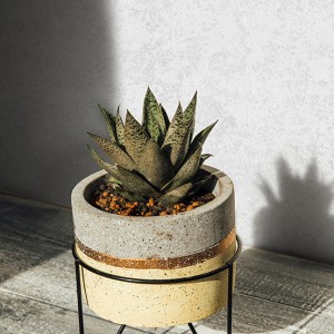 آلبوم کاغذدیواری نیچر 203103 NATURE