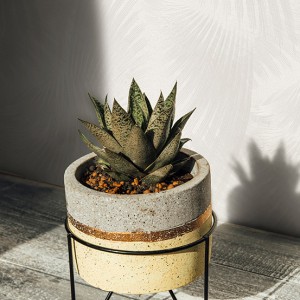 آلبوم کاغذدیواری نیچر 203102 NATURE