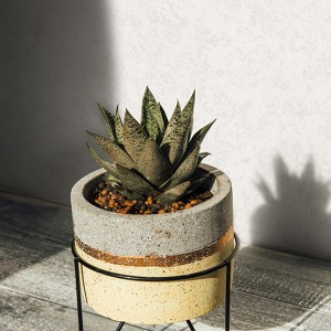 آلبوم کاغذدیواری نیچر 203101 NATURE