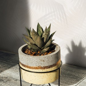 آلبوم کاغذدیواری نیچر 203100 NATURE