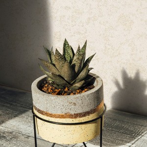 آلبوم کاغذدیواری نیچر 203099 NATURE