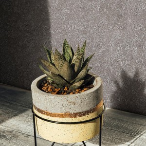 آلبوم کاغذدیواری نیچر 203097 NATURE