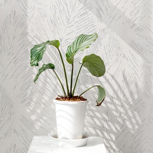 آلبوم کاغذدیواری نیچر 203008 NATURE