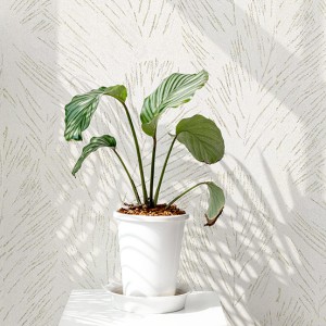 آلبوم کاغذدیواری نیچر 203006 NATURE