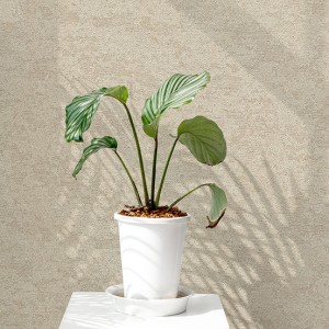 آلبوم کاغذدیواری نیچر 203001 NATURE