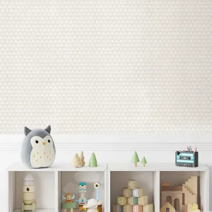 آلبوم کاغذدیواری کودک پمپو   pampo  12076