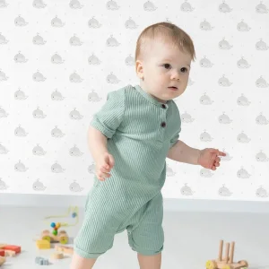 آلبوم کاغذدیواری کودک پمپو   pampo  12041