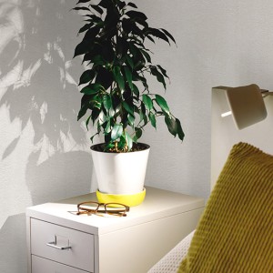 آلبوم کاغذدیواری پنتونکست pantonext (3)  کد 201357