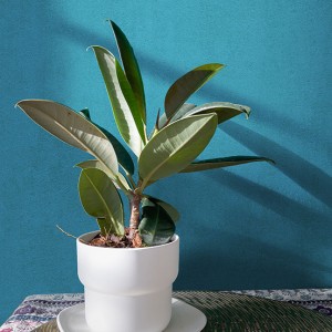 آلبوم کاغذدیواری پنتونکست pantonext (3)  کد 201313