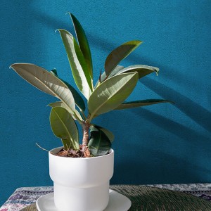 آلبوم کاغذدیواری پنتونکست pantonext (3)  کد 201312