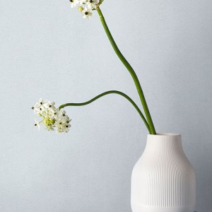 آلبوم کاغذدیواری پنتونکست pantonext (3)  کد 201305