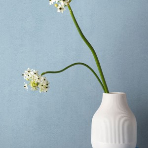 آلبوم کاغذدیواری پنتونکست pantonext (3)  کد 201303