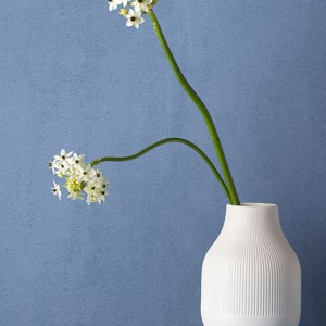 آلبوم کاغذدیواری پنتونکست pantonext (3)  کد 201302