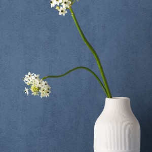 آلبوم کاغذدیواری پنتونکست pantonext (3)  کد 201301