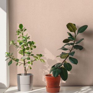 آلبوم کاغذدیواری پنتونکست pantonext (3)  کد 201288