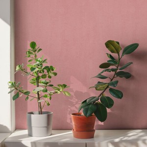 آلبوم کاغذدیواری پنتونکست pantonext (3)  کد 201286