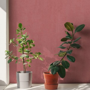 آلبوم کاغذدیواری پنتونکست pantonext (3)  کد 201285