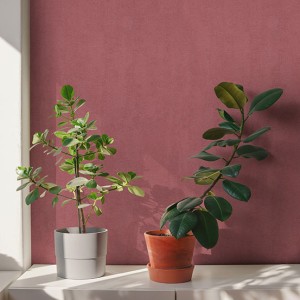 آلبوم کاغذدیواری پنتونکست pantonext (3)  کد 201284