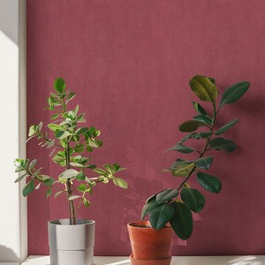 آلبوم کاغذدیواری پنتونکست pantonext (3)  کد 201283