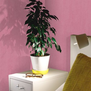 آلبوم کاغذدیواری پنتونکست pantonext (3)  کد 201280