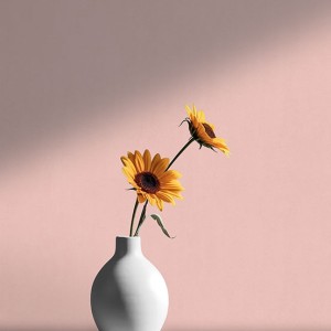 آلبوم کاغذدیواری پنتونکست pantonext (3)  کد 201270