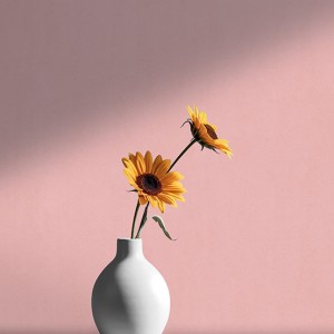 آلبوم کاغذدیواری پنتونکست pantonext (3)  کد 201269