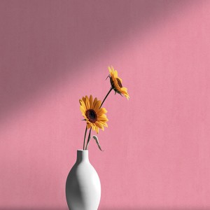 آلبوم کاغذدیواری پنتونکست pantonext (3)  کد 201268