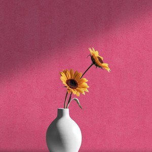 آلبوم کاغذدیواری پنتونکست pantonext (3)  کد 201266