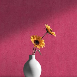 آلبوم کاغذدیواری پنتونکست pantonext (3)  کد 201265