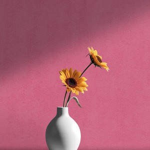 آلبوم کاغذدیواری پنتونکست pantonext (3)  کد 201276