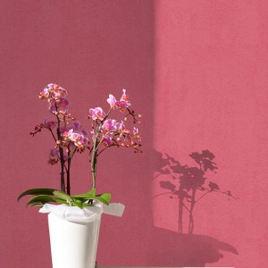 آلبوم کاغذدیواری پنتونکست pantonext (3)  کد 201261