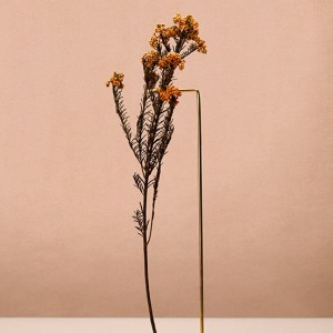 آلبوم کاغذدیواری پنتونکست pantonext (3)  کد 201252