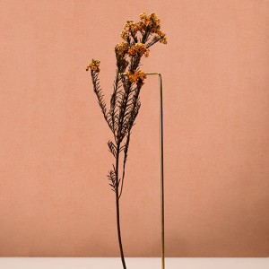 آلبوم کاغذدیواری پنتونکست pantonext (3)  کد 201251