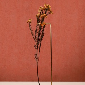 آلبوم کاغذدیواری پنتونکست pantonext (3)  کد 201249