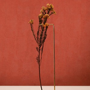 آلبوم کاغذدیواری پنتونکست pantonext (3)  کد 201248