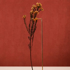 آلبوم کاغذدیواری پنتونکست pantonext (3)  کد 201247