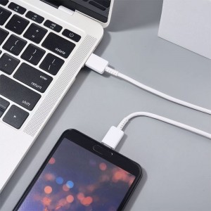 کابل شارژ USB-C به USB-C سامسونگ مدل EP-DN980 طول 1 متر توان 3 آمپر