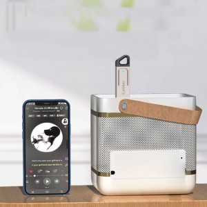 دانگل بلوتوث صوتی ارلدام مدل BR20