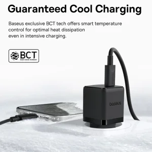 شارژر دیواری بیسوس Palm CCZC20CE توان 20 وات