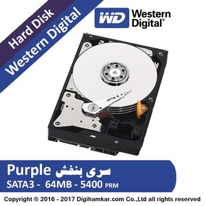 Western-Digital-Purple-4