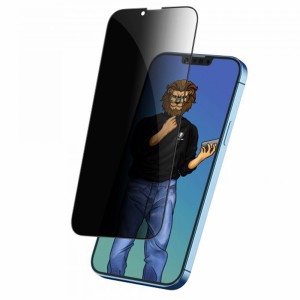 گلس استیو پرایوسی گرین لیون Steve Privacy آیفون iPhone 13/13 Pro