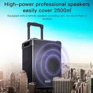 اسپیکر چمدانی 12 اینچ یسیدو Yesido Outdoor Speaker YSW16