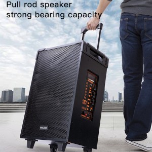 اسپیکر چمدانی 12 اینچ یسیدو Yesido Outdoor Speaker YSW16