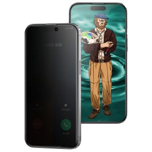 گلس پرایوسی پیکاسو Picasso گرین لاین آیفون iPhone 13 Pro Max