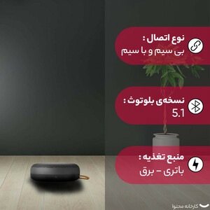 اسپیکر بلوتوثی قابل حمل بنگ اند آلفسن  Beosound A1