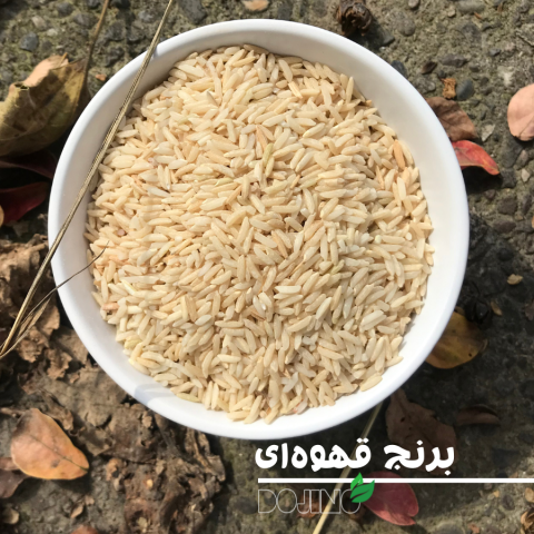 برنج قهوه ای گیلان