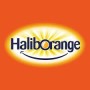 هالیب اورنج