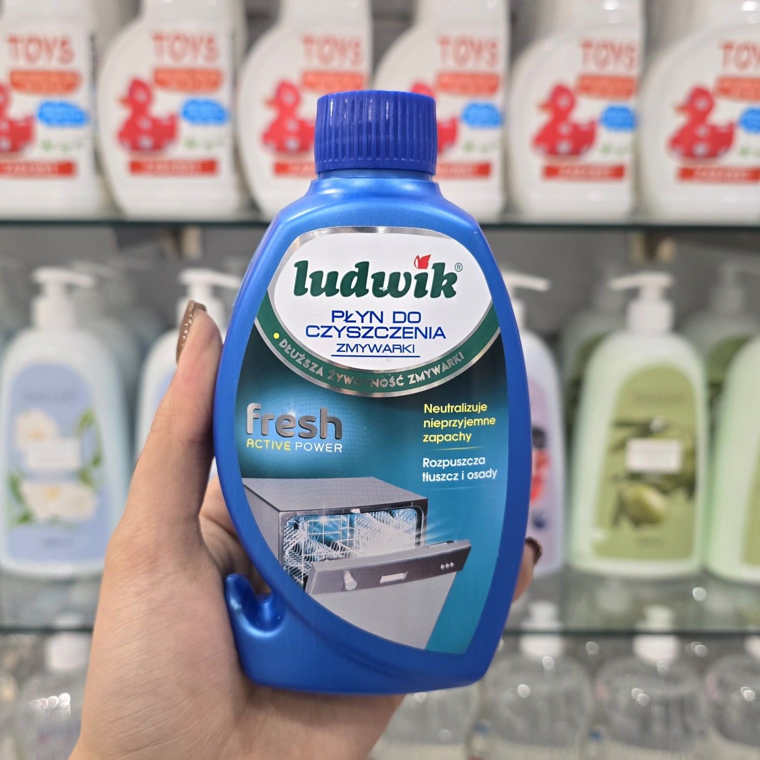 مایع جرم گیر و تمیز کننده ماشین ظرفشویی لودویک Ludwik
