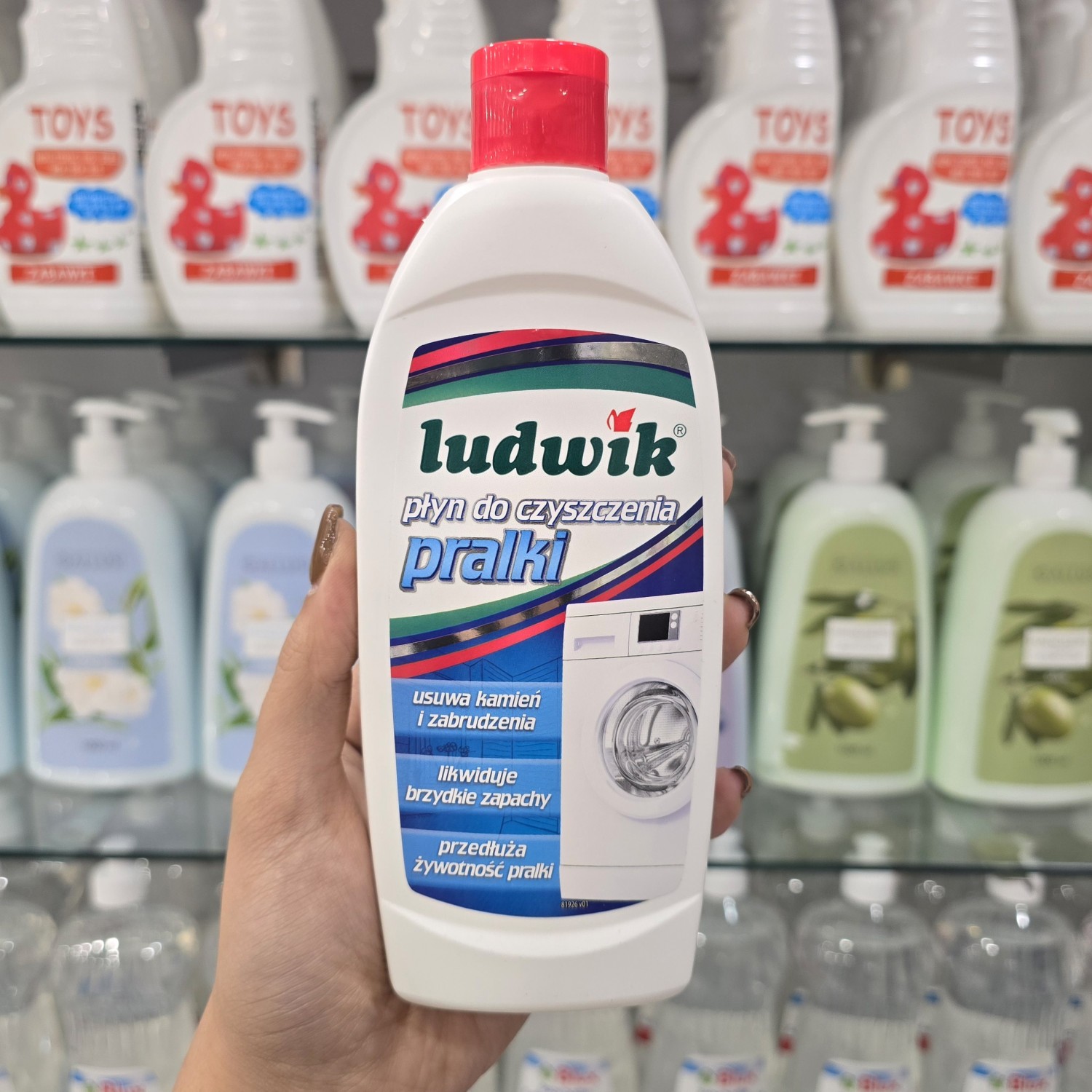 مایع تمیز کننده و جرم گیر ماشین لباسشویی لودویک Ludwik