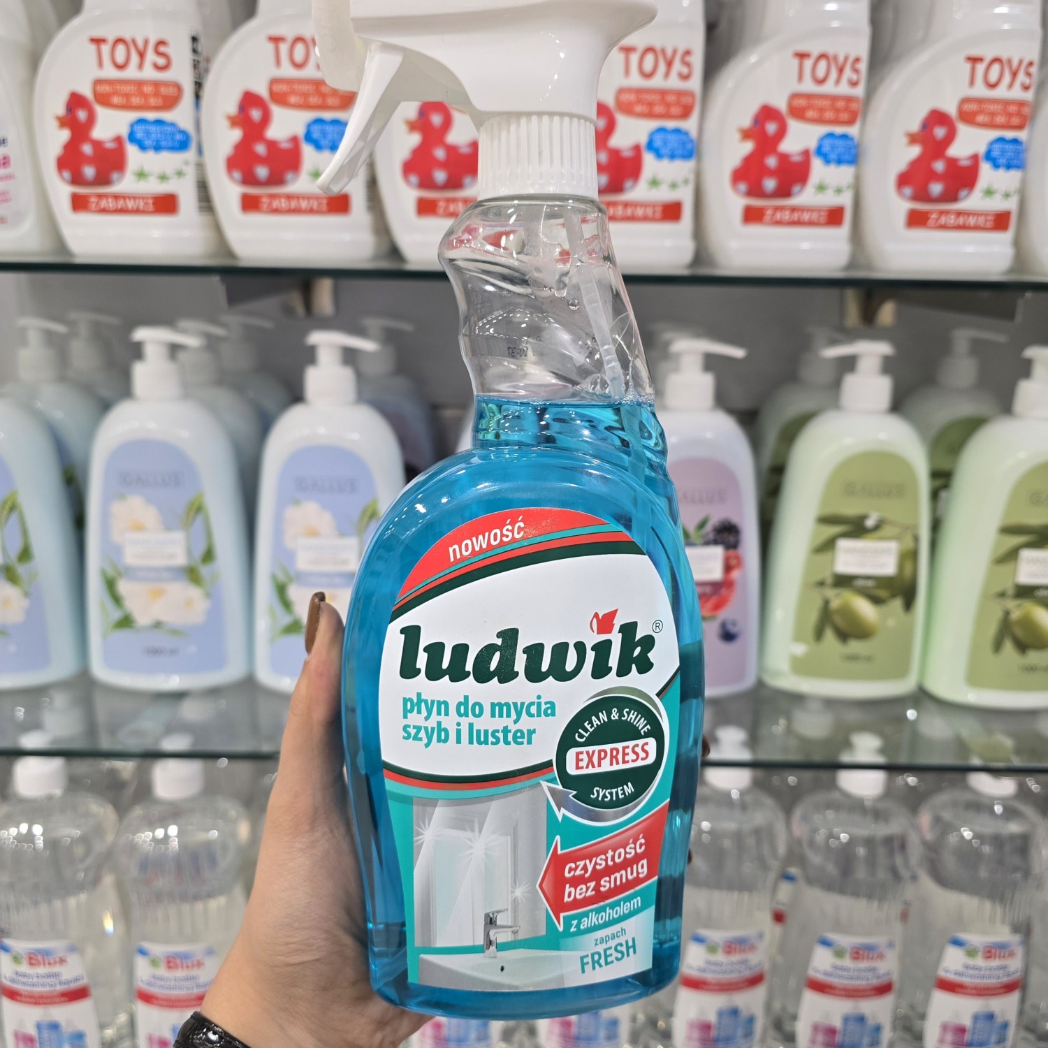 اسپری پاک‌ کننده شیشه و آینه لودویک Ludwik